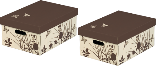 BUTTERFLY Aufbewahrungsboxen mit Deckel