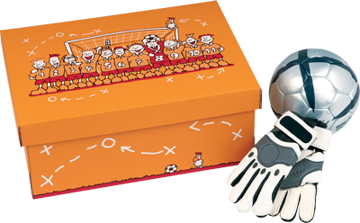 CHAMPION Aufbewahrungsbox Anwendungsbeispiel CHAMPION Aufbewahrungsbox Anwendungsbeispiel