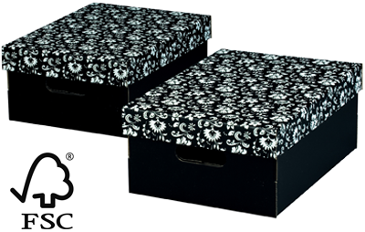NIPS ECO line SILVA MEHRZWECKBOX A4 FSC zertifiziert NIPS ECO line SILVA MEHRZWECKBOX A4 FSC zertifiziert